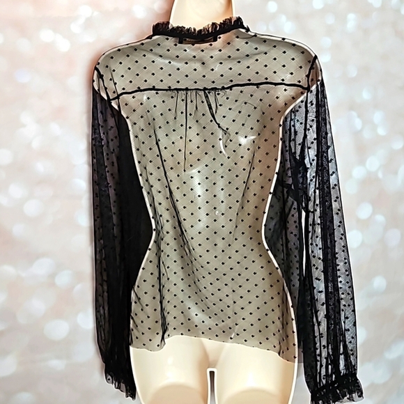 Hesperus | Sheer Mesh Netting Black Ruffled Blouse - Picture 3 of 9